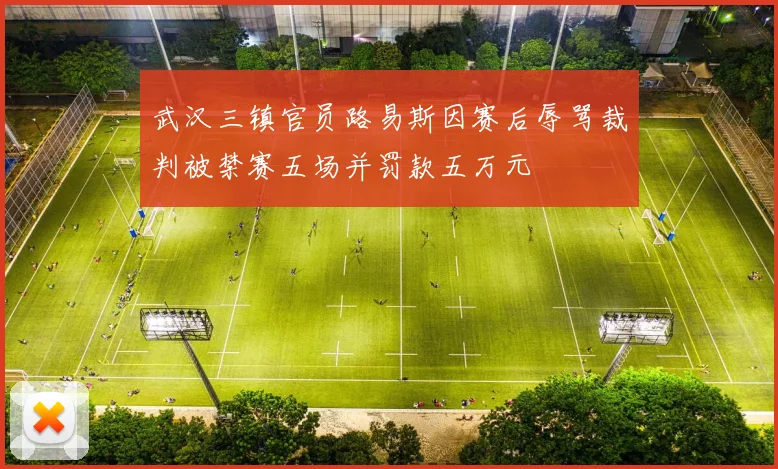 武汉三镇官员路易斯因赛后辱骂裁判被禁赛五场并罚款五万元